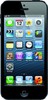 Apple iPhone 5 16GB - Новый Уренгой