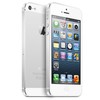 Apple iPhone 5 64Gb white - Новый Уренгой